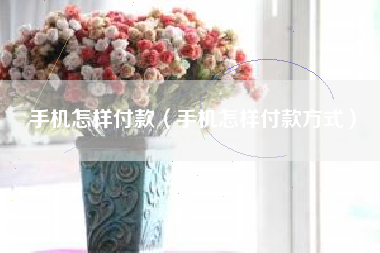 手机怎样付款（手机怎样付款方式）