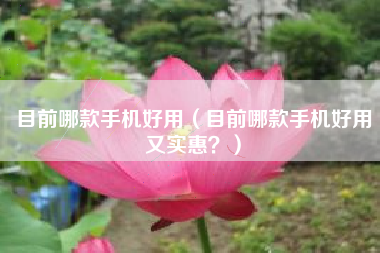 目前哪款手机好用（目前哪款手机好用又实惠？）