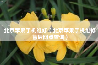 北京苹果手机维修（北京苹果手机维修售后网点查询）