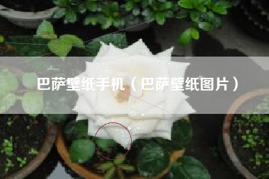 巴萨壁纸手机（巴萨壁纸图片）
