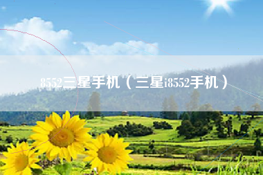 8552三星手机（三星i8552手机）