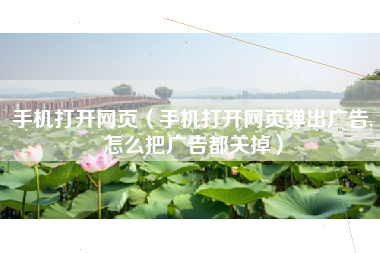 手机打开网页（手机打开网页弹出广告,怎么把广告都关掉）
