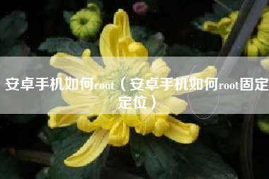 安卓手机如何root（安卓手机如何root固定定位）