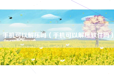 手机可以解压吗（手机可以解压软件吗）