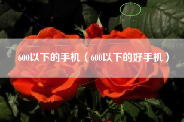 600以下的手机（600以下的好手机）