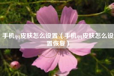 手机qq皮肤怎么设置（手机qq皮肤怎么设置恢复）