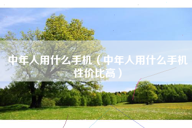中年人用什么手机（中年人用什么手机性价比高）