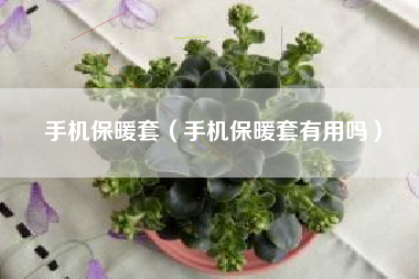 手机保暖套（手机保暖套有用吗）