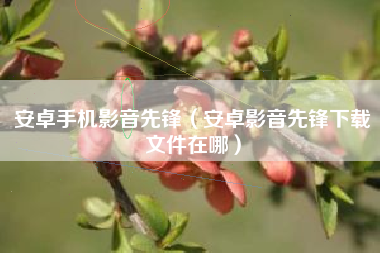 安卓手机影音先锋（安卓影音先锋下载文件在哪）