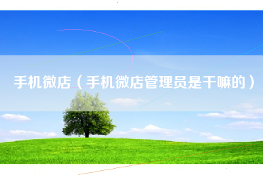 手机微店（手机微店管理员是干嘛的）