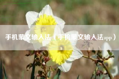手机蒙文输入法（手机蒙文输入法app）