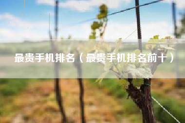 最贵手机排名（最贵手机排名前十）