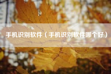 手机识别软件（手机识别软件哪个好）