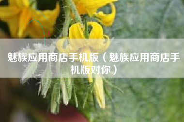 魅族应用商店手机版（魅族应用商店手机版对你）