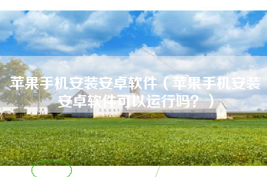 苹果手机安装安卓软件（苹果手机安装安卓软件可以运行吗？）
