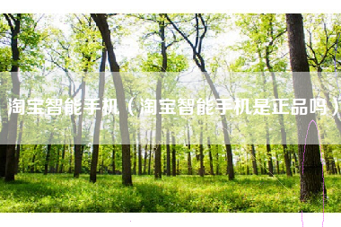 淘宝智能手机（淘宝智能手机是正品吗）
