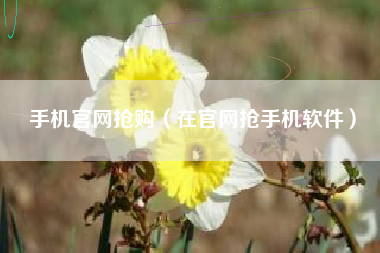 手机官网抢购（在官网抢手机软件）