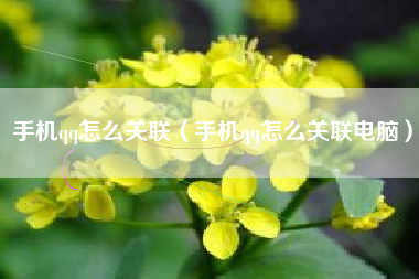 手机qq怎么关联（手机qq怎么关联电脑）