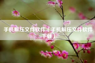 手机解压文件软件（手机解压文件软件下载）
