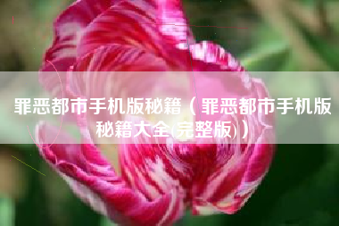 罪恶都市手机版秘籍（罪恶都市手机版秘籍大全(完整版)）