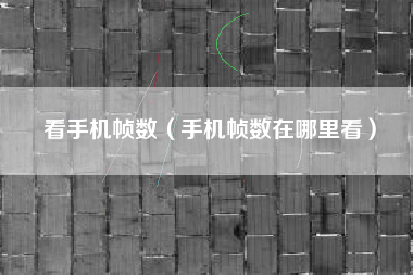 看手机帧数（手机帧数在哪里看）