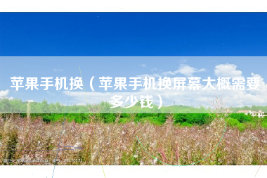 苹果手机换（苹果手机换屏幕大概需要多少钱）