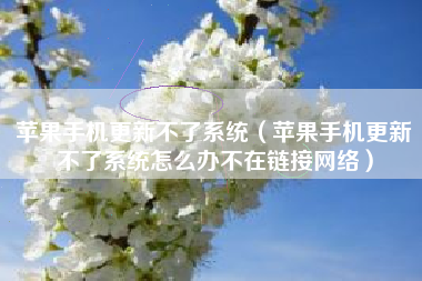 苹果手机更新不了系统（苹果手机更新不了系统怎么办不在链接网络）
