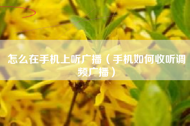 怎么在手机上听广播（手机如何收听调频广播）