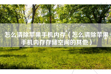 怎么清除苹果手机内存（怎么清除苹果手机内存存储空间的其他）
