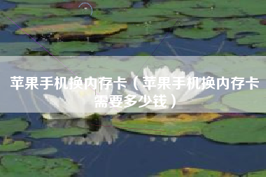 苹果手机换内存卡（苹果手机换内存卡需要多少钱）