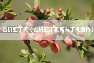 若机亚手机（若机亚手机所有手机图片）