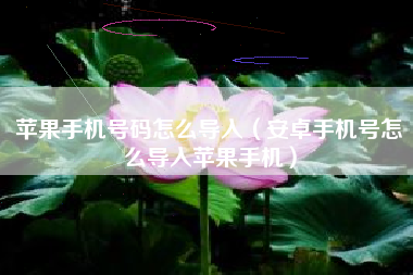 苹果手机号码怎么导入（安卓手机号怎么导入苹果手机）