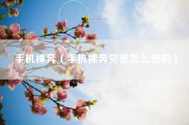 手机裸奔（手机裸奔党是怎么想的）