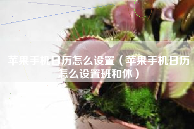苹果手机日历怎么设置（苹果手机日历怎么设置班和休）