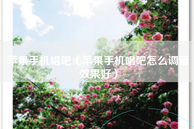 苹果手机唱吧（苹果手机唱吧怎么调音效果好）