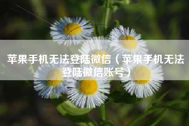 苹果手机无法登陆微信（苹果手机无法登陆微信账号）