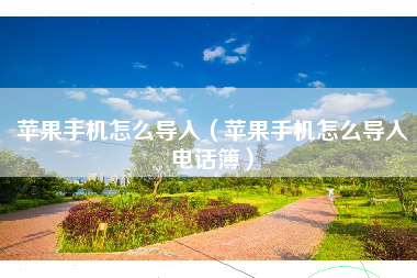 苹果手机怎么导入（苹果手机怎么导入电话簿）