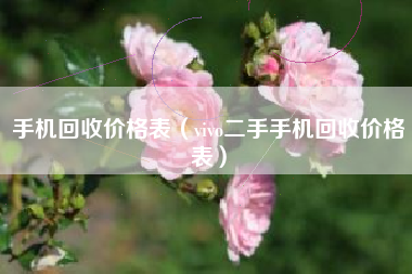 手机回收价格表（vivo二手手机回收价格表）