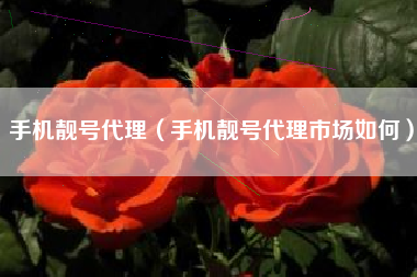 手机靓号代理（手机靓号代理市场如何）