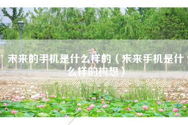 未来的手机是什么样的（未来手机是什么样的构想）