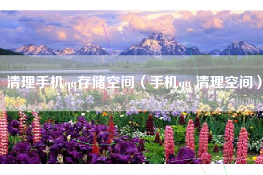 清理手机qq存储空间（手机qq 清理空间）
