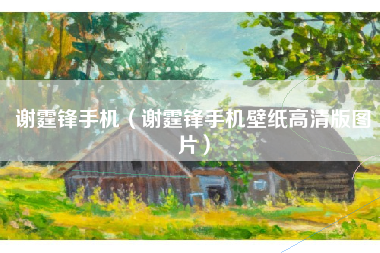 谢霆锋手机（谢霆锋手机壁纸高清版图片）