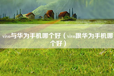 vivo与华为手机哪个好（vivo跟华为手机哪个好）