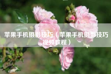 苹果手机摄影技巧（苹果手机摄影技巧视频教程）