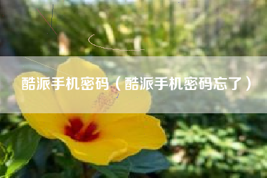 酷派手机密码（酷派手机密码忘了）