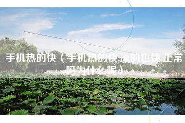 手机热的快（手机热的快,凉的也快,正常吗为什么呢）