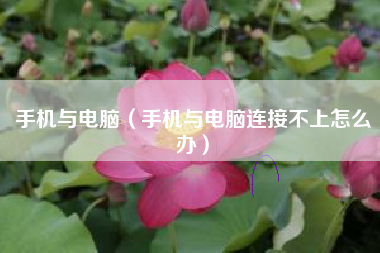 手机与电脑（手机与电脑连接不上怎么办）