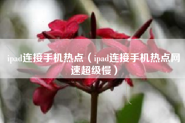 ipad连接手机热点（ipad连接手机热点网速超级慢）