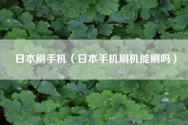 日本刷手机（日本手机刷机能刷吗）