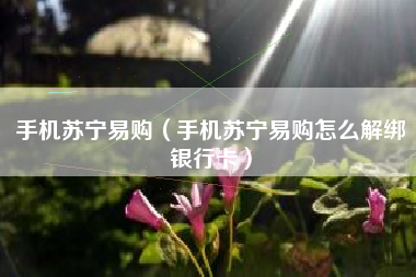手机苏宁易购（手机苏宁易购怎么解绑银行卡）